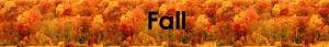 Fall